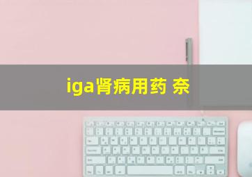 iga肾病用药 奈